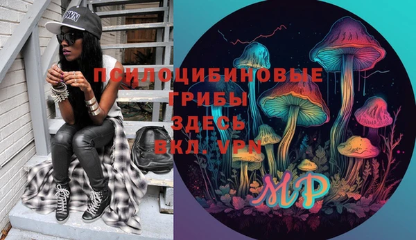 крисы Нея